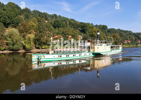 Dampfer Pirna an der Elbe Sachsen Stockfoto