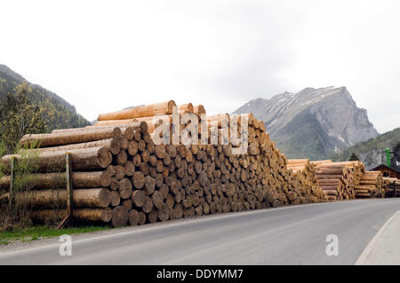 Sägewerk, Holzhandel, Protokolle, Holzlagerung, Bauholz, Bauholz, auf einer Bundesstraße in Vorarlberg, Austria, Europe Stockfoto