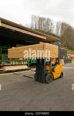 Gabelstapler, Transport, qualitativ hochwertige Bauholz, Sägewerk, Holzhandel, Protokolle, Holzlagerung, Vorarlberg, Austria, Europe Stockfoto