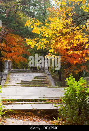 Russland, Gattschina, helle Herbst Baum im Park in der Nähe von einem Palast Stockfoto