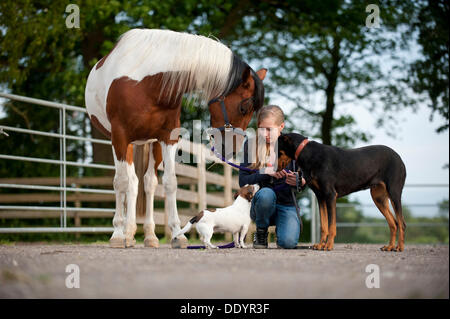 Mädchen mit einem Pferd und zwei Hunde auf einer Einfahrt Stockfoto