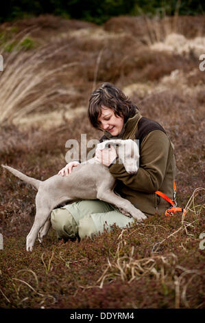 Jägerin mit Weimaraner Welpen Stockfoto