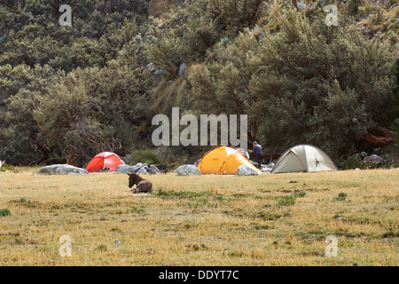 Pisco Tal Campingplatz im Nationalpark Huascarán, peruanischen Anden. Stockfoto