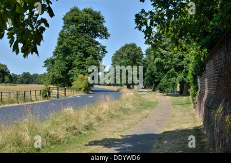 Syon Park, Brentford, London, UK Stockfoto