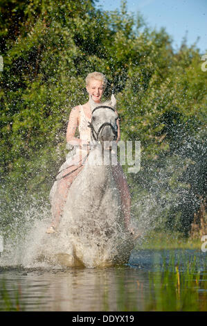 Junge Frau auf einem Hannoveraner Pferd durch einen See ohne Sattel reiten Stockfoto