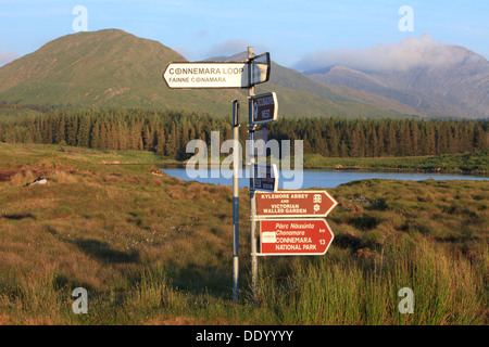 Wegweiser in der Nähe von den Maumturk Mountains an der Connemara im County Galway, Irland Stockfoto