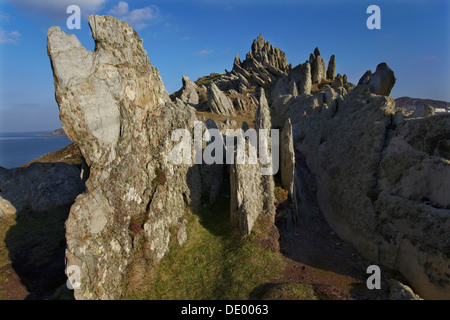 Felsen am Morte Point, Mortehoe, in der Nähe von Woolacombe, Nord Devon, Großbritannien Stockfoto