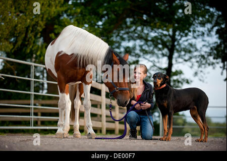 Mädchen mit einem Pferd und einem Dobermann Stockfoto