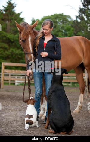 Mädchen mit einem Pferd und Hunde Stockfoto