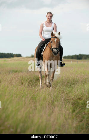 Frau auf einem Haflinger Pferd am Strand entlang, St. Peter-Ording, Schleswig-Holstein Stockfoto