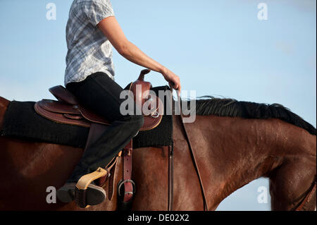 Frau auf einem Quarter Horse, Westlichart Reiten Stockfoto