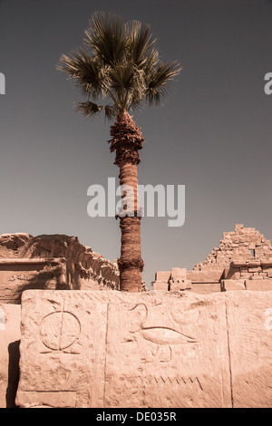 Tempel von Karnak, Ägypten - äußere Elemente Stockfoto