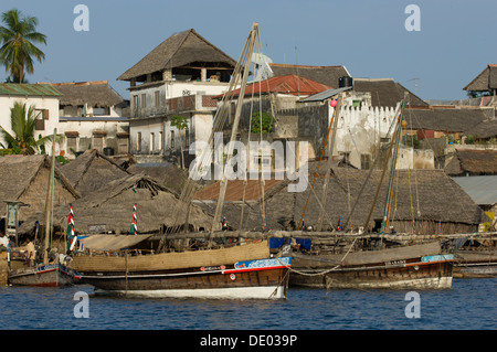 Dhaus vertäut am Ufer von Lamu Town, Lamu, Kenia Stockfoto