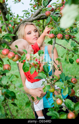 Junge Frau mit einem Kleinkind in der Apfelgarten Stockfoto