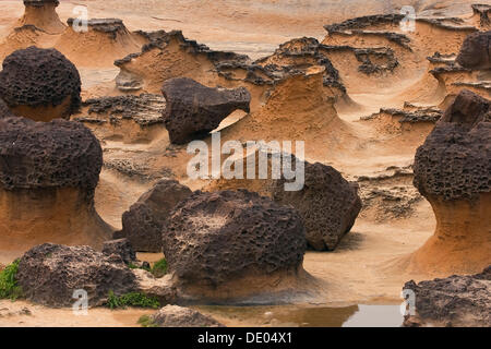 Felsformationen im Yeliou Nationalpark in Taiwan, China, Asien Stockfoto