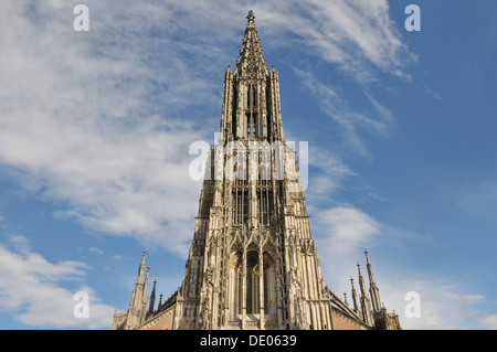 Ulmer Münster Kirche, Ulmer Münster, 161,53 m, der höchste Kirchturm der Welt, Muensterplatz Quadrat, Ulm, Baden-Württemberg Stockfoto