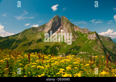 Ostseite des Hoefats Berges, 2259m, Laufbacher Eck-Weg-Wanderweg, Allgäuer Alpen, Allgäu, Bayern, PublicGround Stockfoto