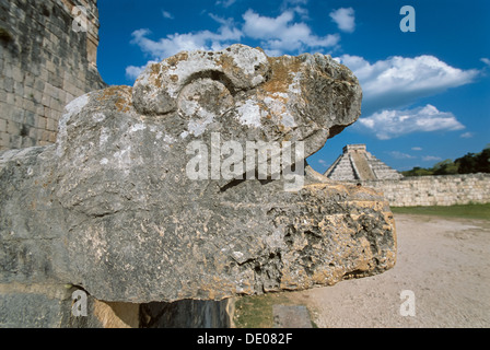 Schlange Kopf Stein Schnitzen auf die Tempel der Jaguare erscheint Kukulkan Pyramide (El Castillo), Chichen Itza, Yucatan, Mexiko zu schlucken Stockfoto