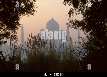 Taj Mahal gesehen durch Schilf auf der anderen Seite des Flusses Yamuna bei Sonnenaufgang, Agra, Uttar Pradesh, Indien Stockfoto