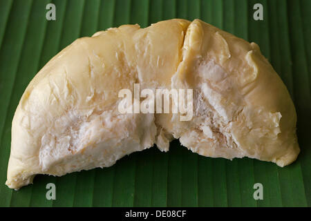 Fleisch von der Durian-Frucht Stockfoto