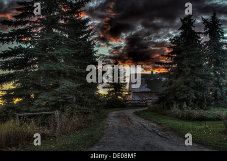 Gekrümmte Straße, durch Bäume, was zu Hof und Scheune, bei Sonnenaufgang. Schöne Farben von orange Wolken und blauer Himmel und grünen Bäumen Stockfoto