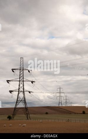 Strommasten in der Landschaft Oxfordshire
