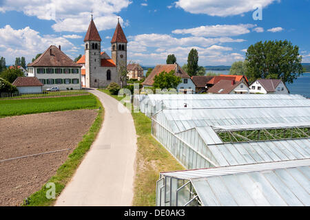 Kirche St. Peter und Paul mit Gewächshäusern, in Niederzell auf der Insel Reichenau, Bodensee, Baden-Württemberg Stockfoto