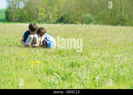 Kinder, die Kommissionierung Wildblumen Wiese Stockfoto