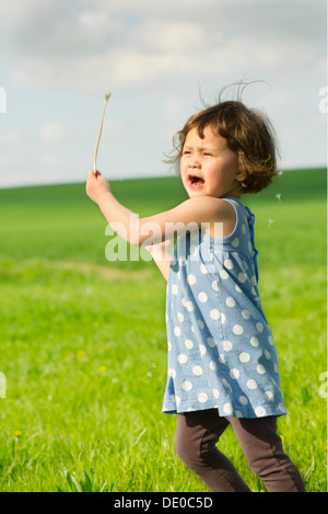 Kleines Mädchen im Feld laufen, Streuung Löwenzahnsamen im wind Stockfoto