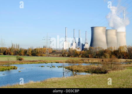 Erneuert, Kohle befeuerten Kraftwerk, Kohle und Erdgas, RWE Power AG, Tibaum Naturschutzgebiet, Lippe Flusses, Stockum, Werne Stockfoto