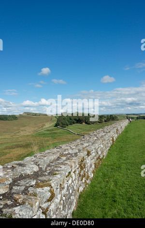 Der Hadrianswall bei Housesteads Roman Fort Stockfoto