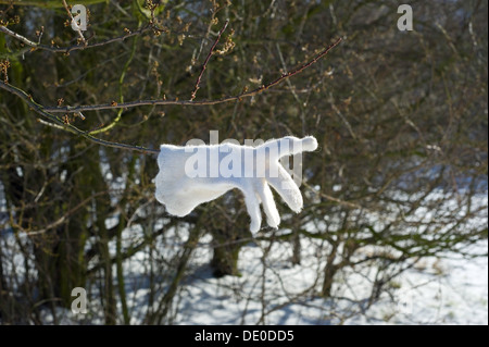 Einen einzigen verlorenen weißen Handschuh auf einem Ast mit einem Zeigefinger in eine verschneite Landschaft. Stockfoto