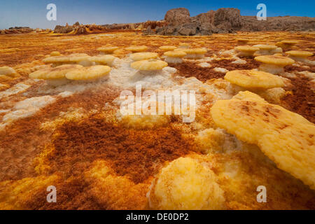 Landschaft, geprägt von Hydro-thermische Aktivität am Vulkan Dallol Stockfoto