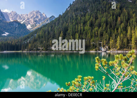 See Lago di Altprags, See Wildsee Wildsee, Seekofel Berg oder Croda del Becco, 2810m und gröberen Rosskogel oder Compo Cavallo Stockfoto