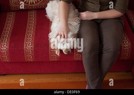 Ein West Highland Terrier und ihre Besitzer. Stockfoto