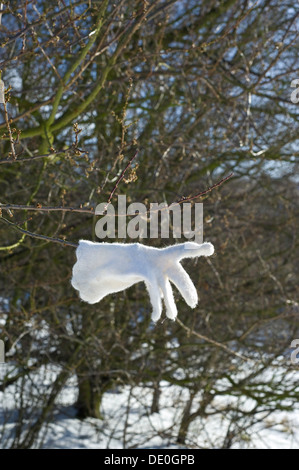 Einen einzigen verlorenen weißen Handschuh auf einem Ast mit einem Zeigefinger in eine verschneite Landschaft. Stockfoto