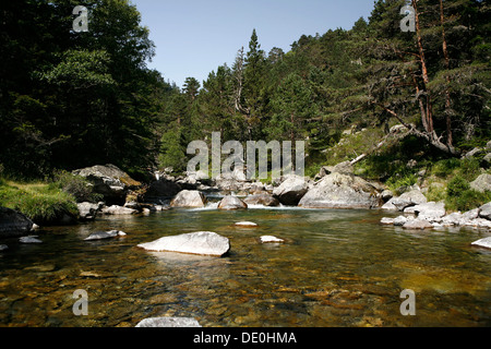 Wildbach, Landschaft in den Pyrenäen, Pyrenäen, National Park in der Nähe von Argeles-gazost, midi-Pyrenees region Stockfoto