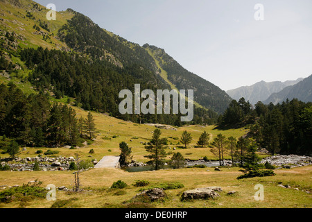 Brücke über einen Wildbach, Landschaft in den französischen Pyrenäen, National Park in der Nähe von Argeles-gazost, midi-Pyrenees region Stockfoto