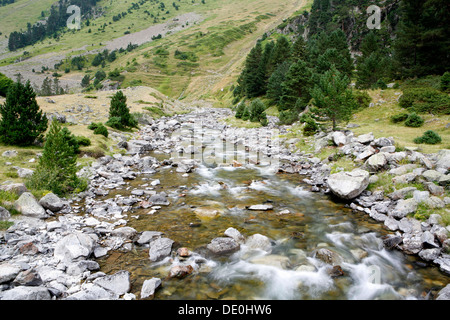 Brücke über einen Wildbach, Landschaft in den französischen Pyrenäen, National Park in der Nähe von Argeles-gazost, midi-Pyrenees region Stockfoto