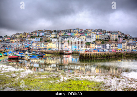 Grüne Algen bei Ebbe in Brixham Angeln Stadt in Devon, England Stockfoto