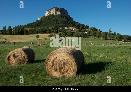 Die schwindelerregenden Klippen von Rock Vellan dominieren das Dorf Plan de Baix und umliegenden Felder, den Regionalpark Vercors, La Drôme, Frankreich. Stockfoto