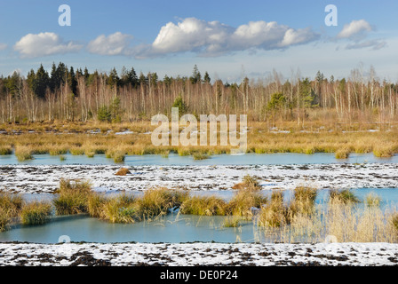 Heidelandschaft mit gefrorenen Teich in der Nähe von Rosenheim, Inntal-Tal, Bayern Deutschland Europa Stockfoto