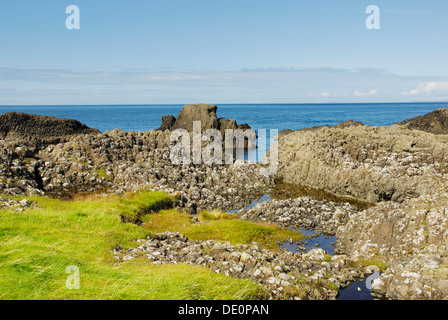 Moor-Pools in verwitterter Basalt, die Blöcke in der nordirischen bei Ballintoy Harbour, County Antrim, Nordirland Küste Stockfoto