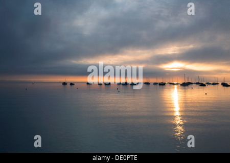 Am frühen Morgen Stimmung am Bodensee in der Nähe von Landschlacht, Schweiz, Europa, PublicGround Stockfoto