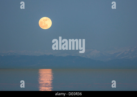 Full Moon rising über den Bodensee und Berg Pfänder Stockfoto