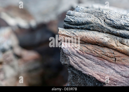 Pahoehoe-Lava, Detail Ansicht, East Rift Zone, Kilauea-Vulkan, Big Island, Hawaii, USA Stockfoto