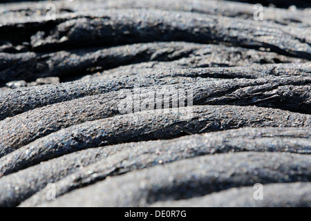 Pahoehoe-Lava, Detail Ansicht, East Rift Zone, Kilauea-Vulkan, Big Island, Hawaii, USA Stockfoto