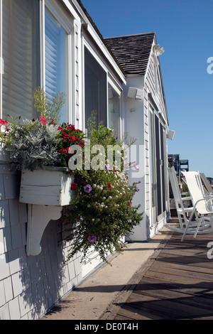 Eine überlaufende Blumenkasten ziert vorne eine Strandhütte in Provincetown, Massachusetts an einem Sonntagmorgen. Stockfoto