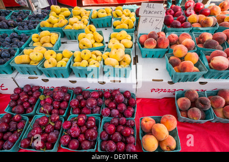 Obst zum Verkauf im Markt der Union Square in New York City Stockfoto
