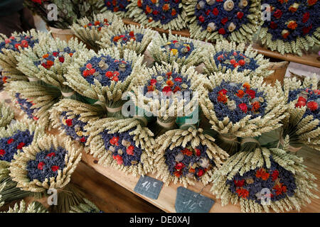 Lavendel Blumensträuße an der Provence Markt, weinheimer Herbst, Weinheim, Baden-Württemberg Stockfoto